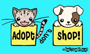 Adopt Dont Shop Colored